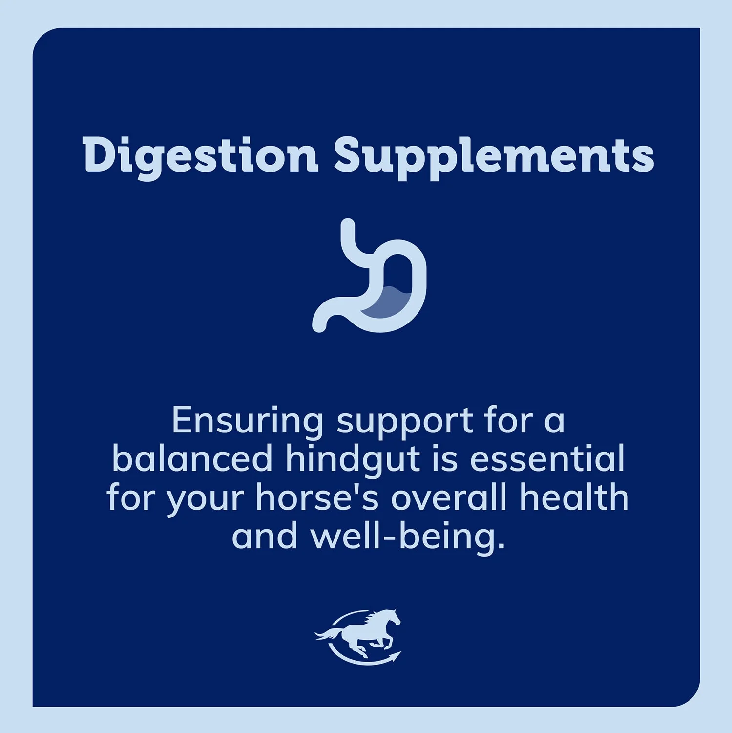 SmartEquine SmartDigest Powder Digestive Supplement for Horses - Image 5