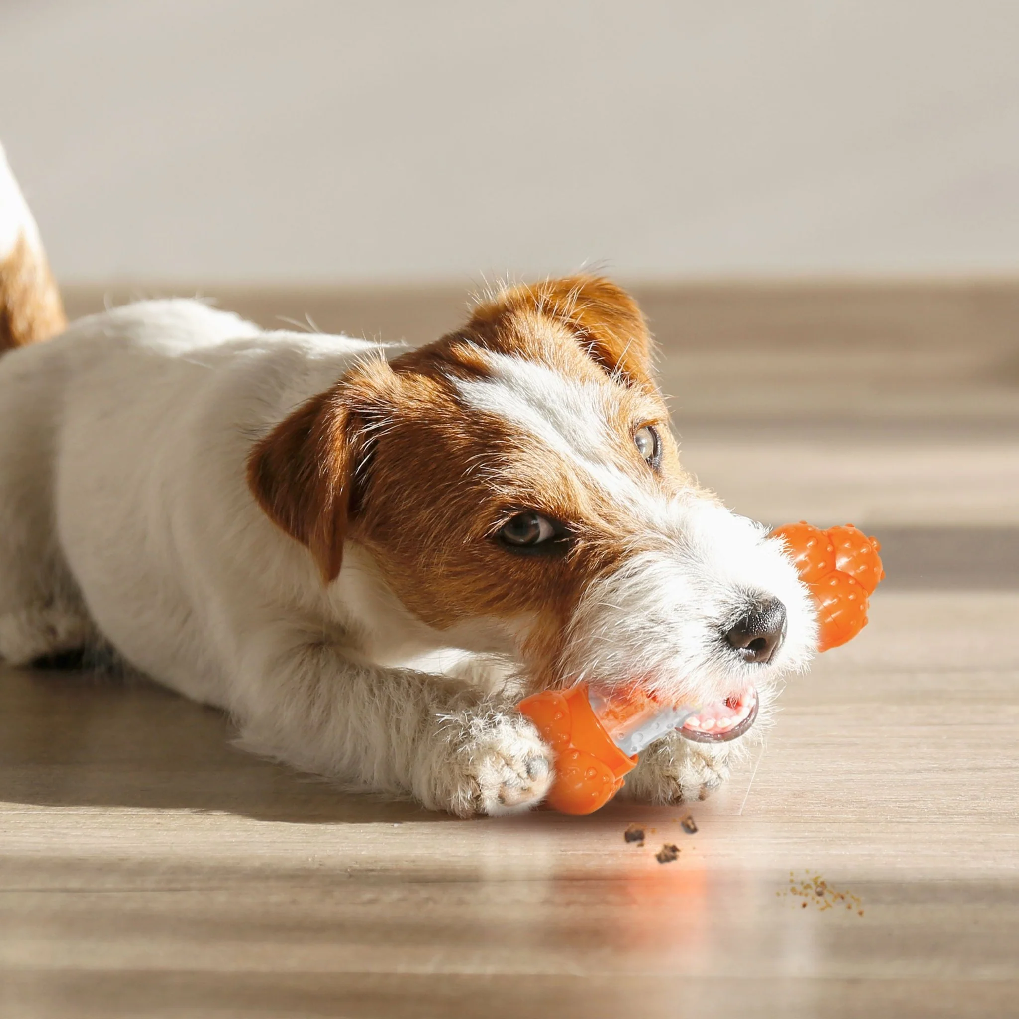 Sneaky Snacker Dog Treat Toy, Bacon - Image 7