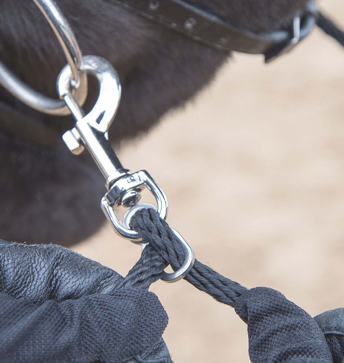 Shires Soft Lunge Aid - Image 2