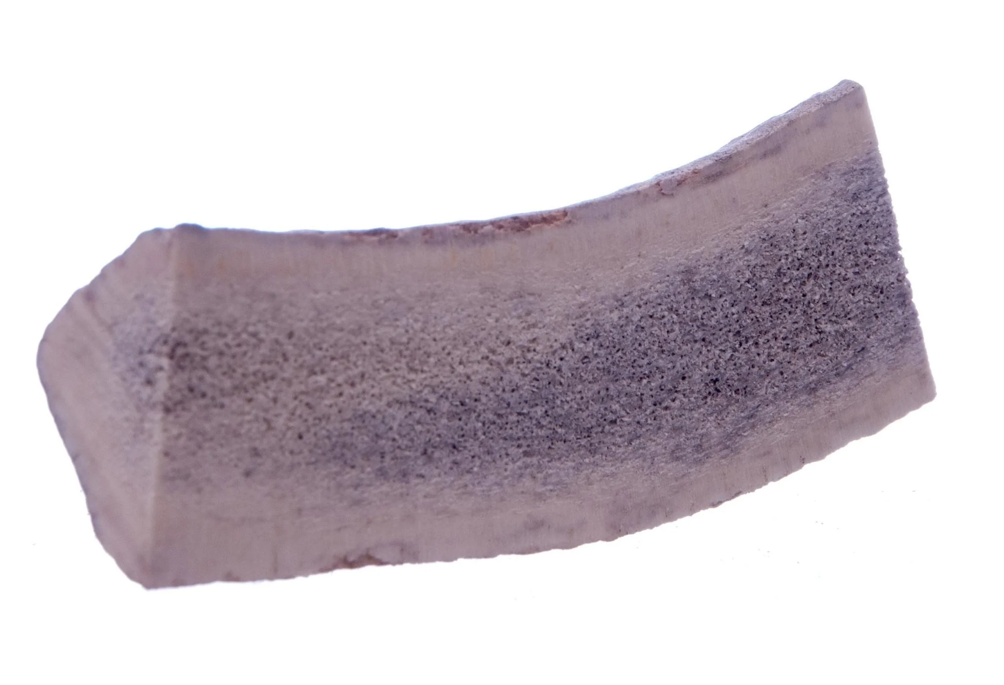 Split Antlerz (The Trew) - Image 2