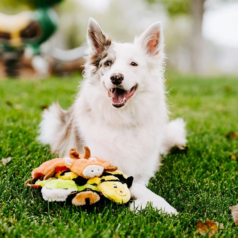 Squeakie Crawler Dog Toy - Image 8