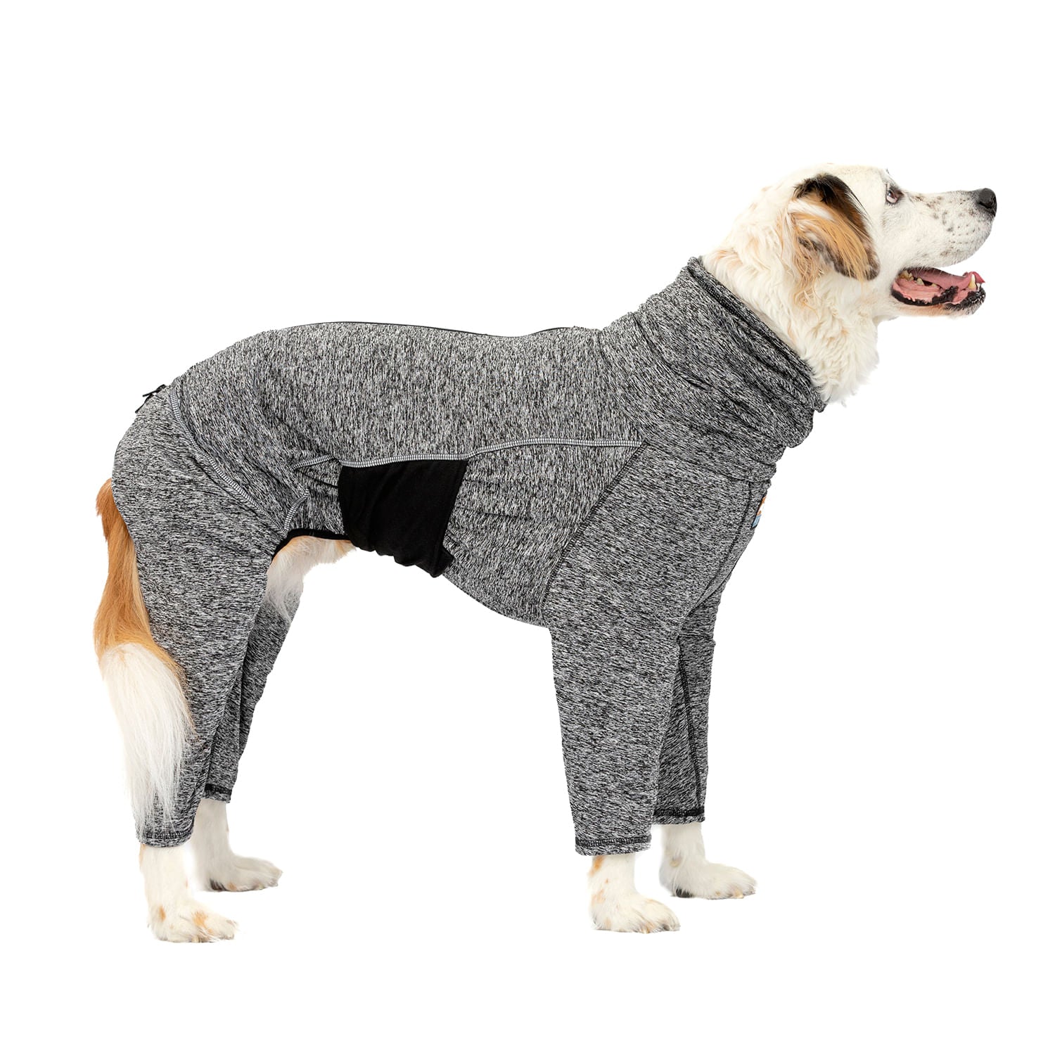 Kurgo Stowe Base Layer - Image 13