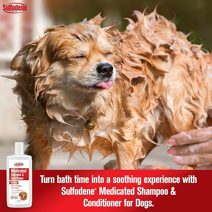 Sulfodene Medicated Shampoo & Conditioner for Dogs - Image 4