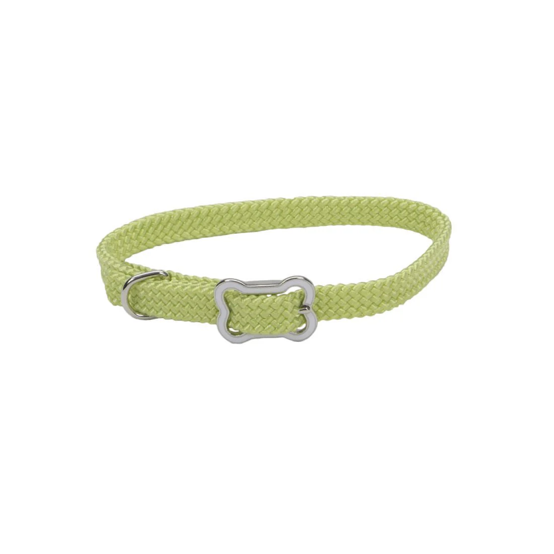Sunburst Dog Collar with Bone Buckle - Image 10