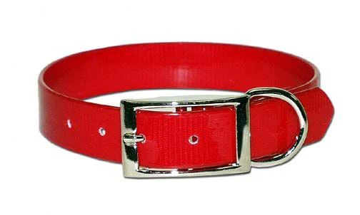 Sunglo Dog Collars - Image 23