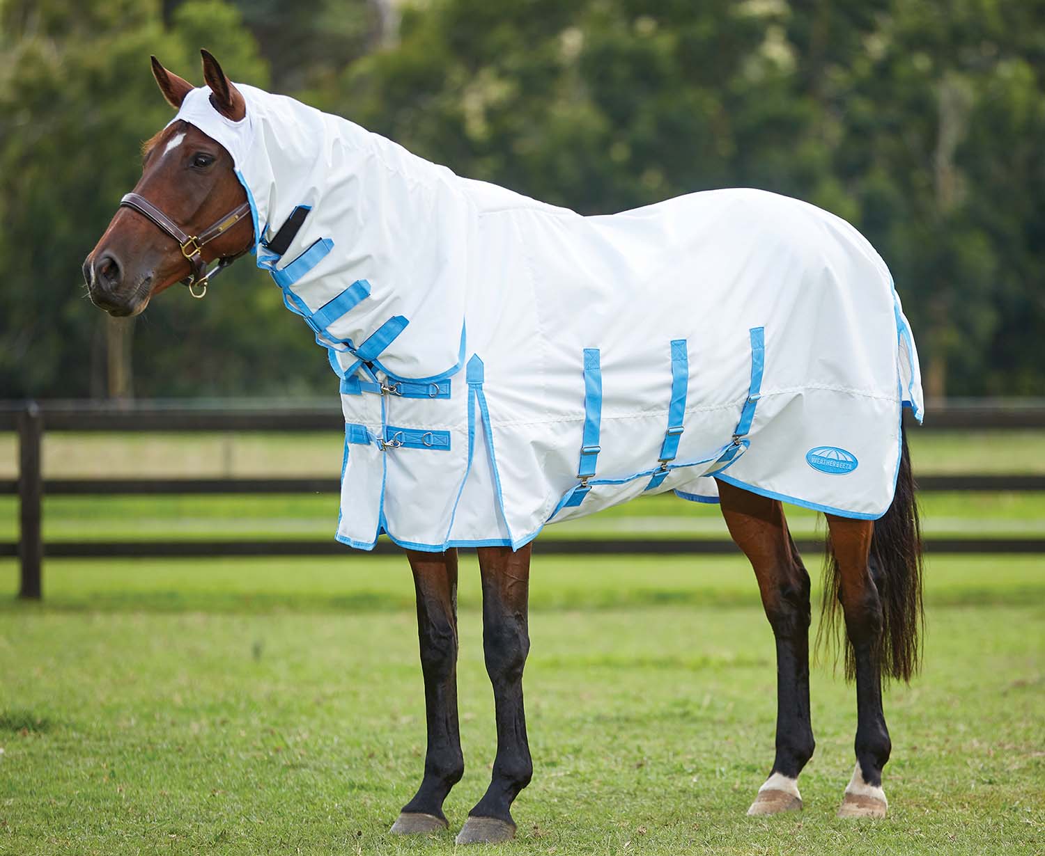 Sweet Itch Shield Combo Neck Horse Fly Sheet, White/Blue - Image 22