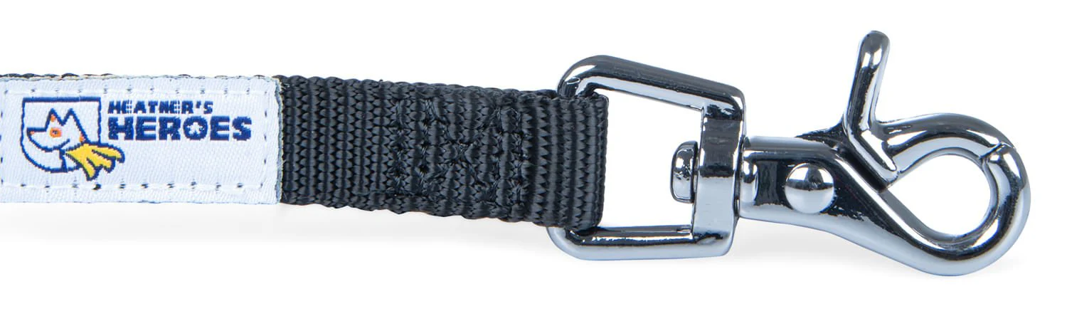 The Sidekick Dog Training Lead - Image 9