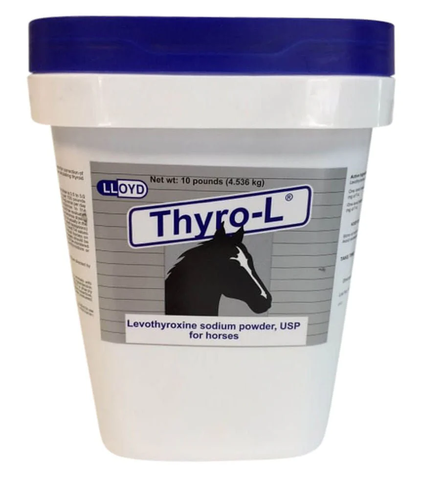 Rx Thyro-L (levothyroxine sodium) Powder for Horses - Image 2