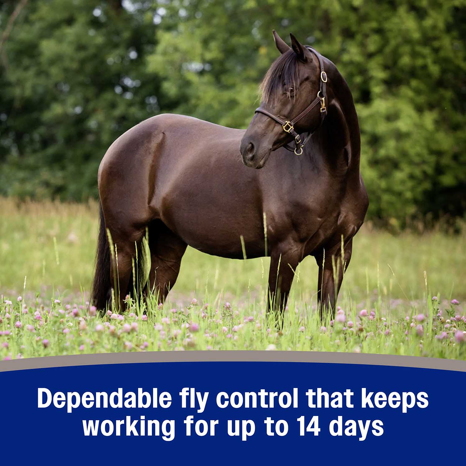 Farnam Tri-Tec 14 Fly Repellent for Horses - Image 12