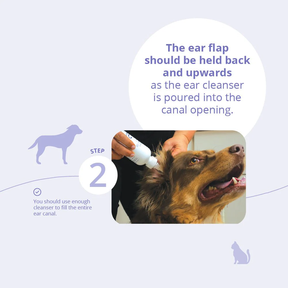 TrizULTRA+KETO Flush for Horses, Dogs & Cats - Image 6