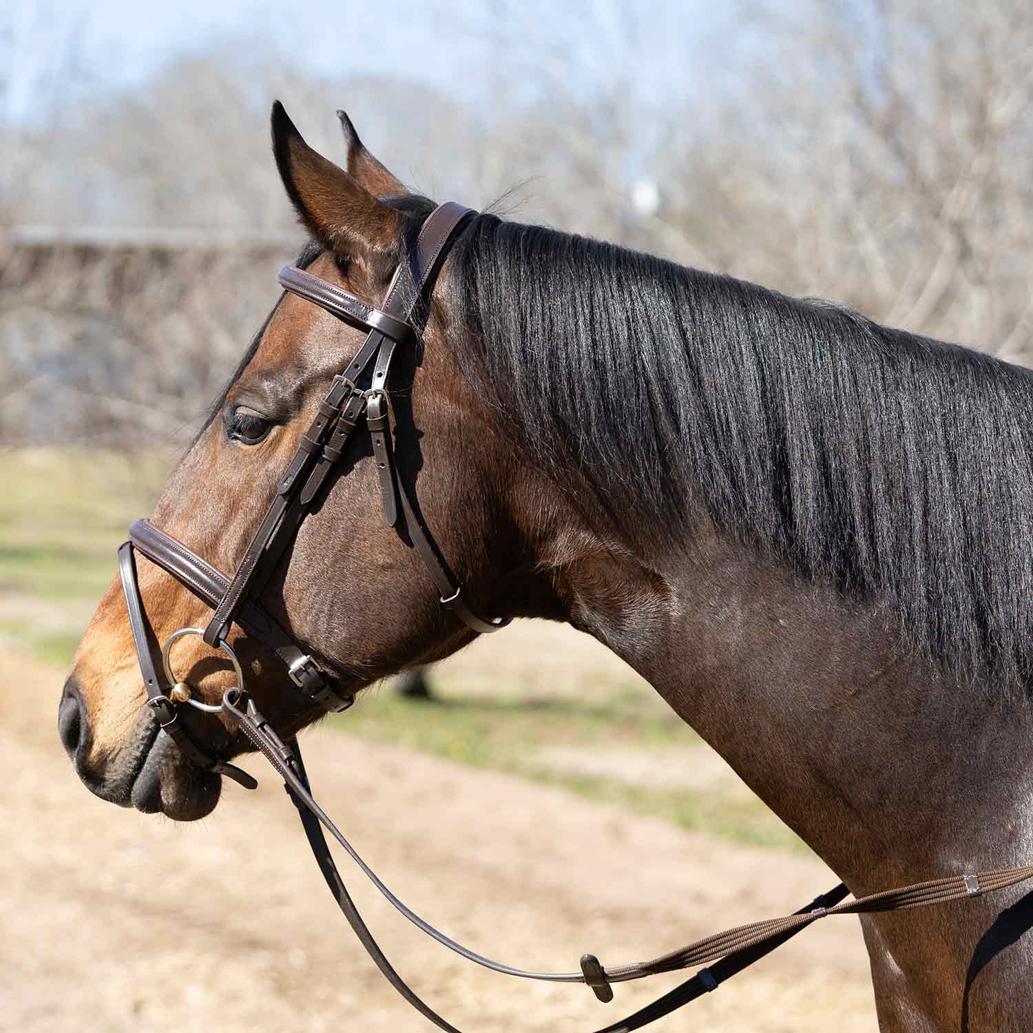 Jeffers Uniquely English "Blenheim" Leather Jumping Bridle for Horses - Image 2