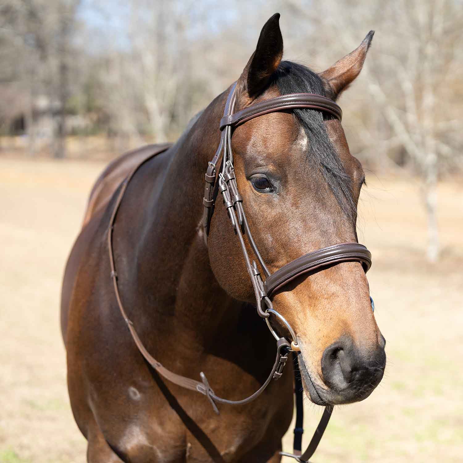 Jeffers Uniquely English "Devon" Leather Snaffle Bridle with Reins for Horses - Image 2