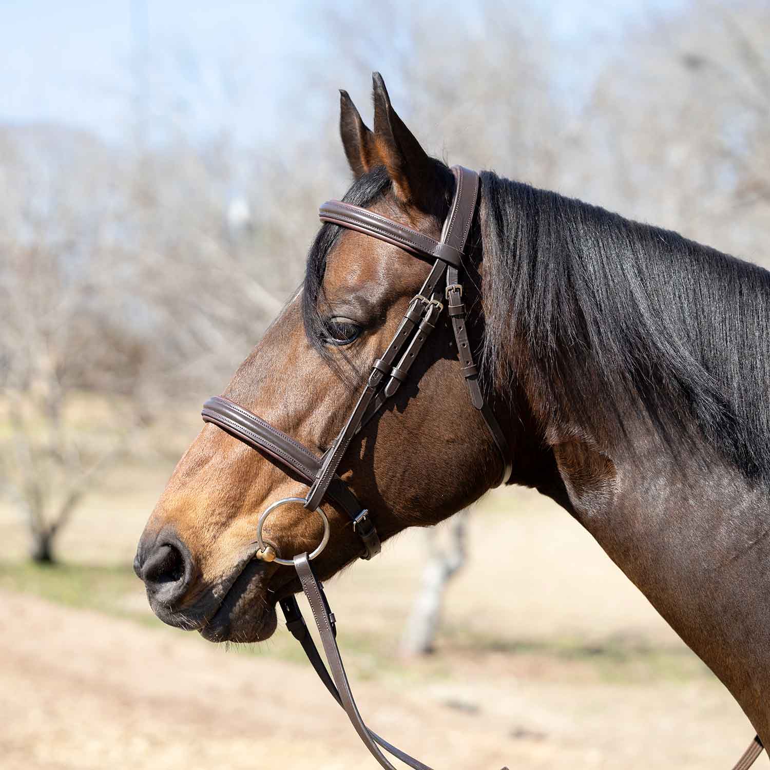 Jeffers Uniquely English "Devon" Leather Snaffle Bridle with Reins for Horses - Image 6