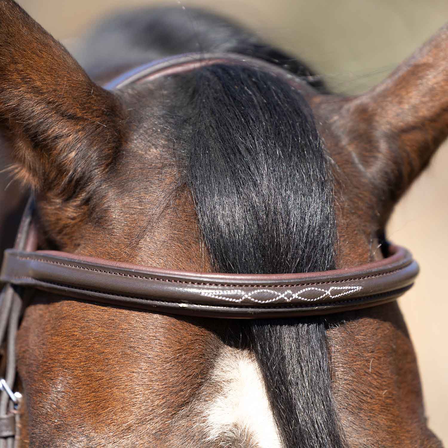 Jeffers Uniquely English "Kentucky" Fancy Stitched Leather Jumping Bridle for Horses - Image 4