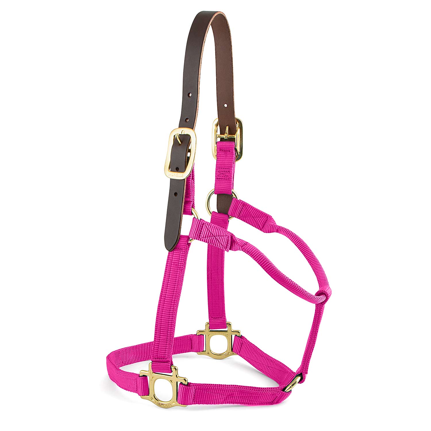Valhoma Premium Breakaway Nylon Horse Halter with Leather Crown & Brass Hardware - Image 2