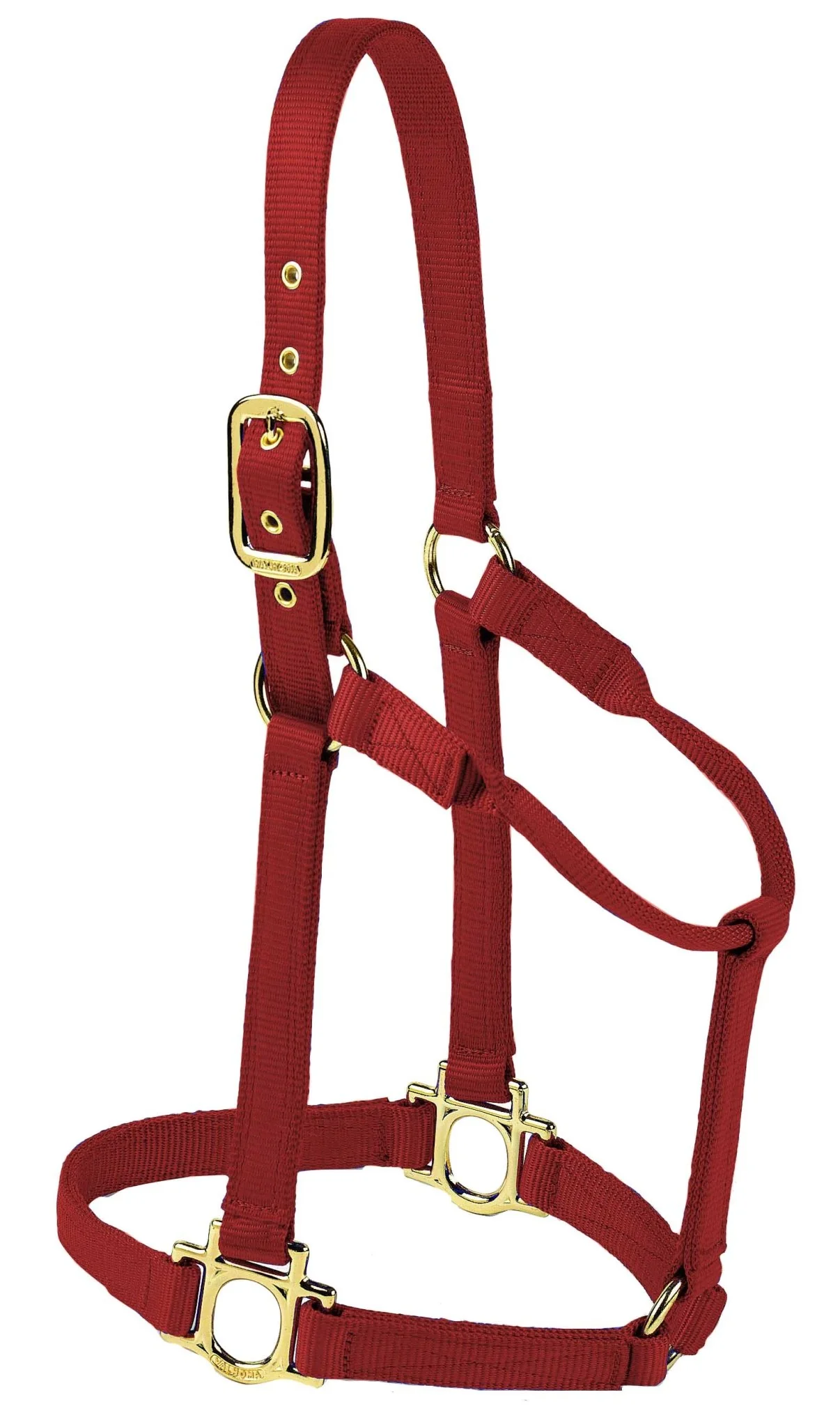 Valhoma Premium Nylon Halter - Image 10