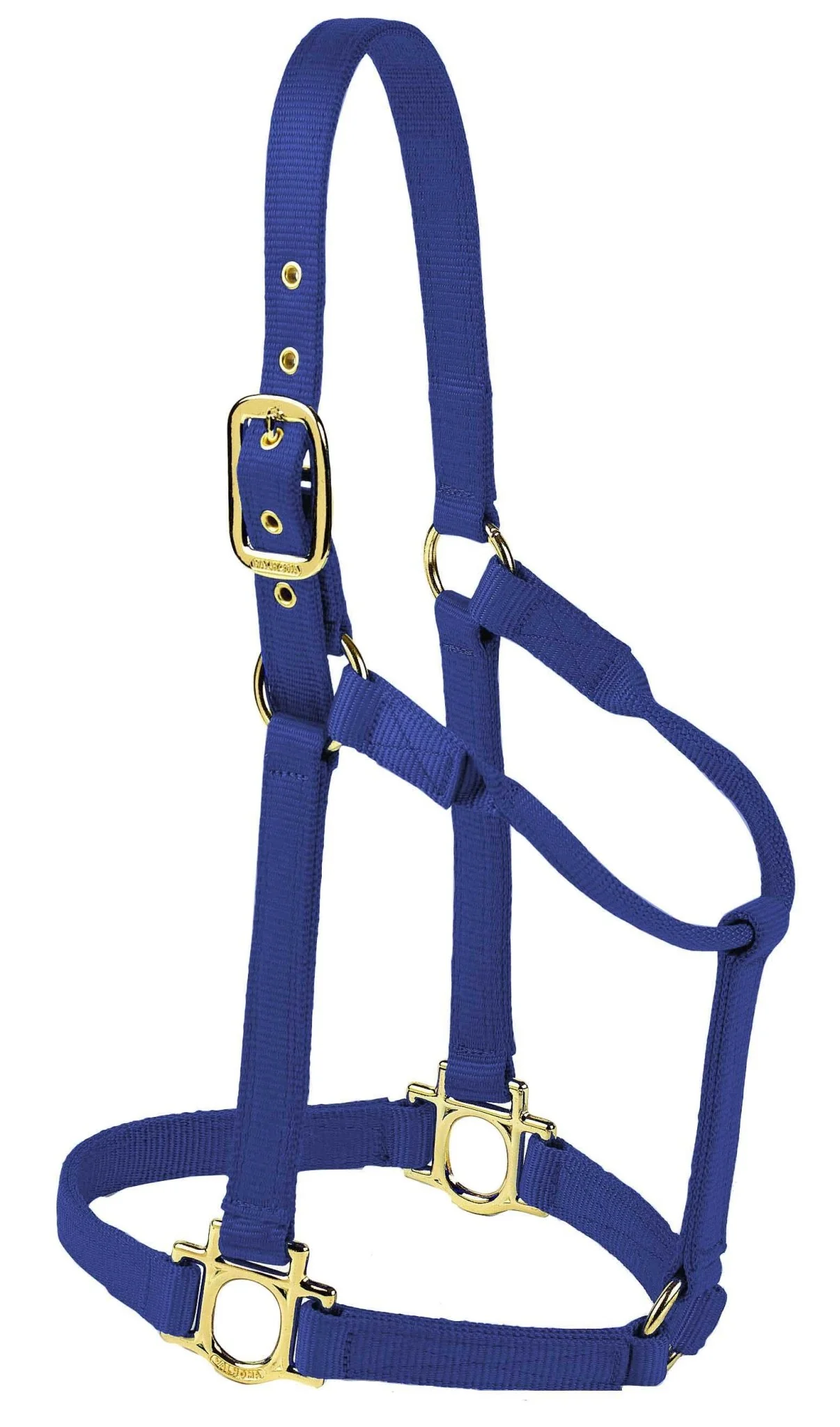 Valhoma Premium Nylon Halter - Image 5