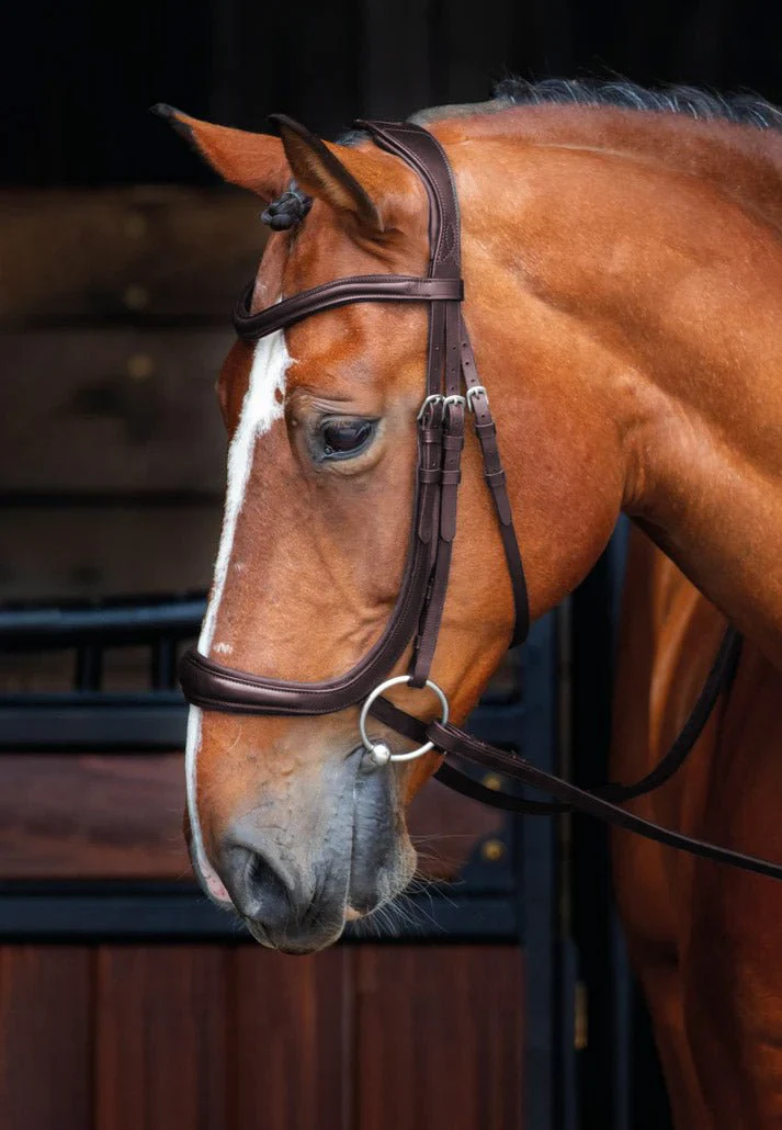 Velociti Rapida Ergonomic Curved Cavesson Leather Horse Bridle – Padded Flash Noseband with Rubber Grip Reins - Image 2