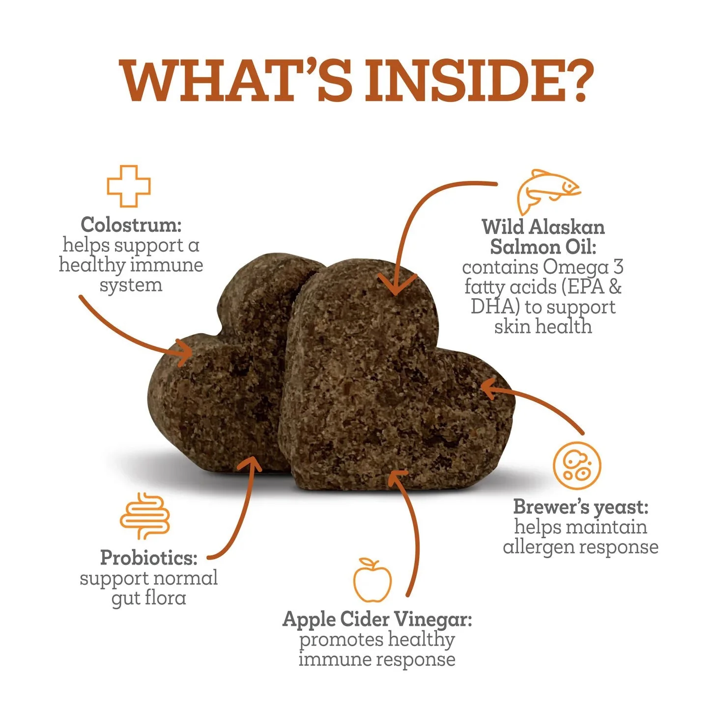 Vetality Aller-Immune Skin & Coat Well Chews for Dogs – Lamb Flavor, Supports Healthy Skin, Shiny Coat & Strong Pads - Image 6