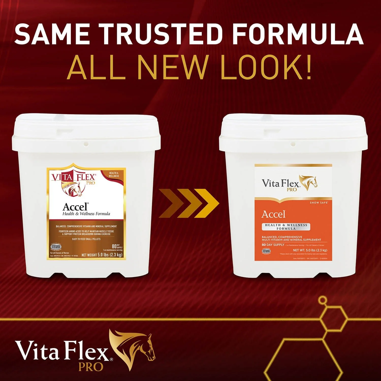Vita Flex Pro Accel Health & Wellness Formula, Supplement for Horses - Image 4