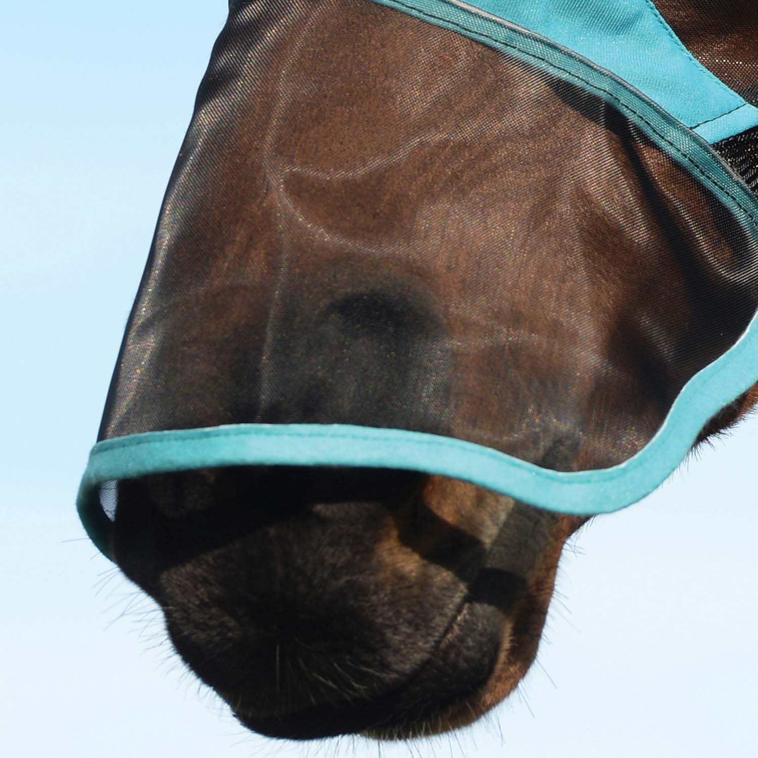 Weatherbeeta ComFITec Deluxe Fine Mesh Horse Fly Mask with Nose - Image 4