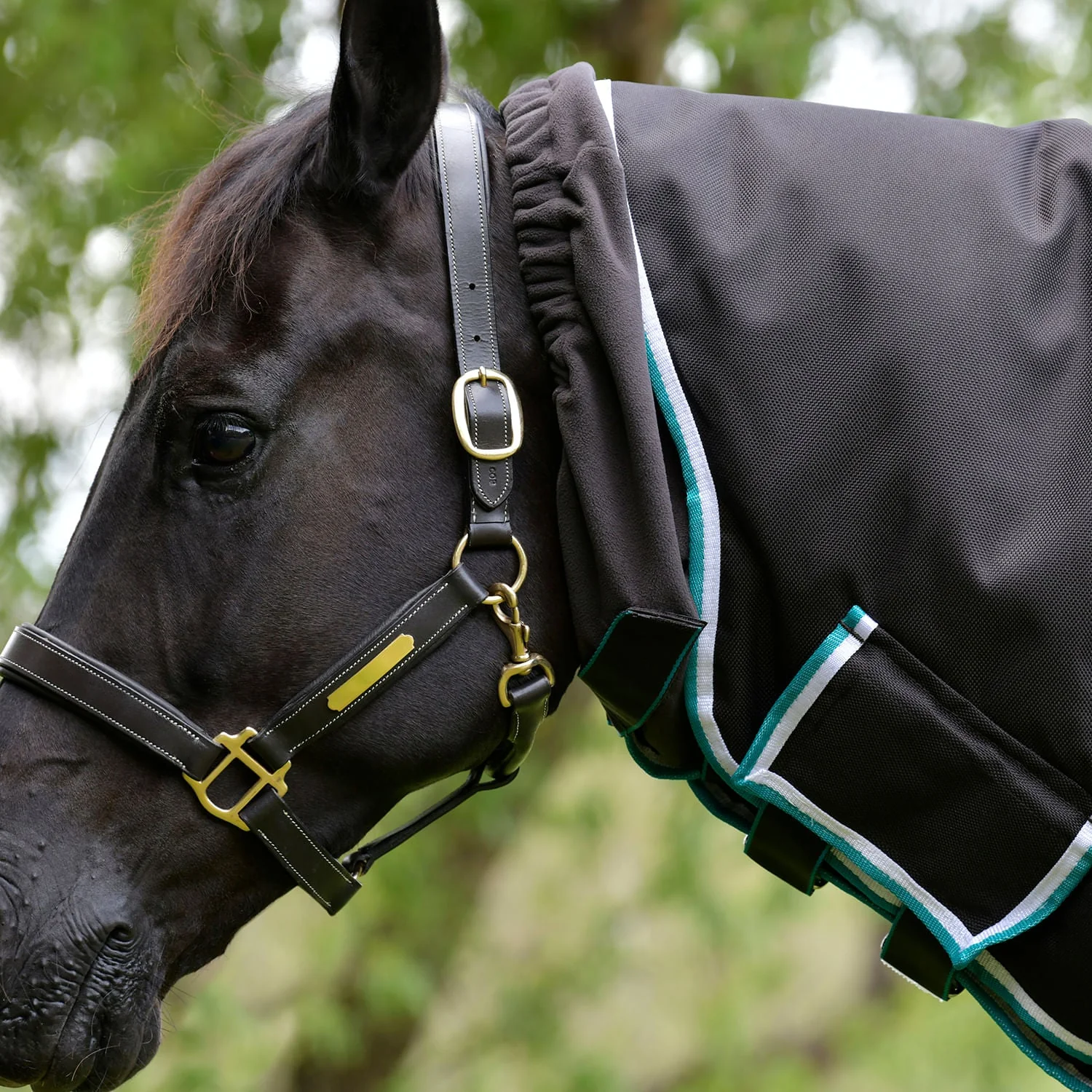 WeatherBeeta ComFITec Ultra Cozi III Detach-a-Neck, Medium Horse Blanket, 1800D, 220 Grams - Image 3