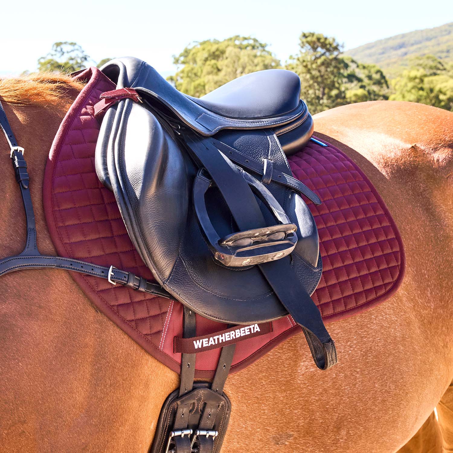 WeatherBeeta Prime Air-Tec Jump Shaped Equine Saddle Pad for English Riding - Image 4