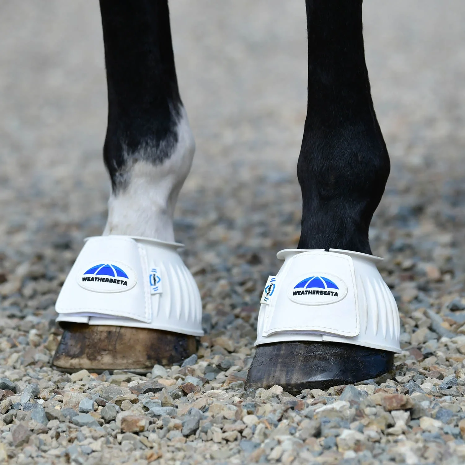WeatherBeeta Tough-Tec Prime Rubber Bell Boots for Horses - Image 35