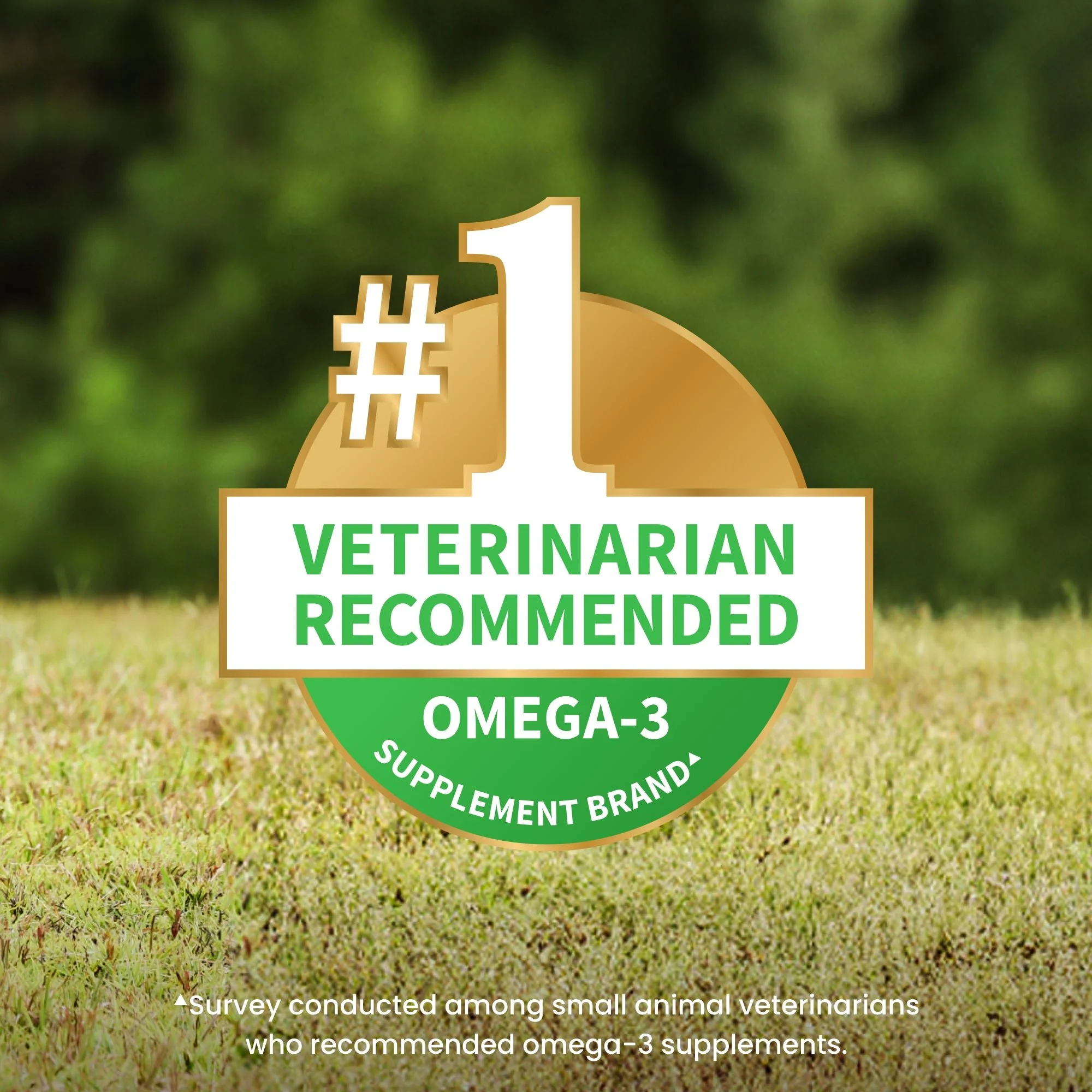 Nutramax Welactin Natural Omega-3 Liquid Skin & Coat Supplement for Dogs - Image 3