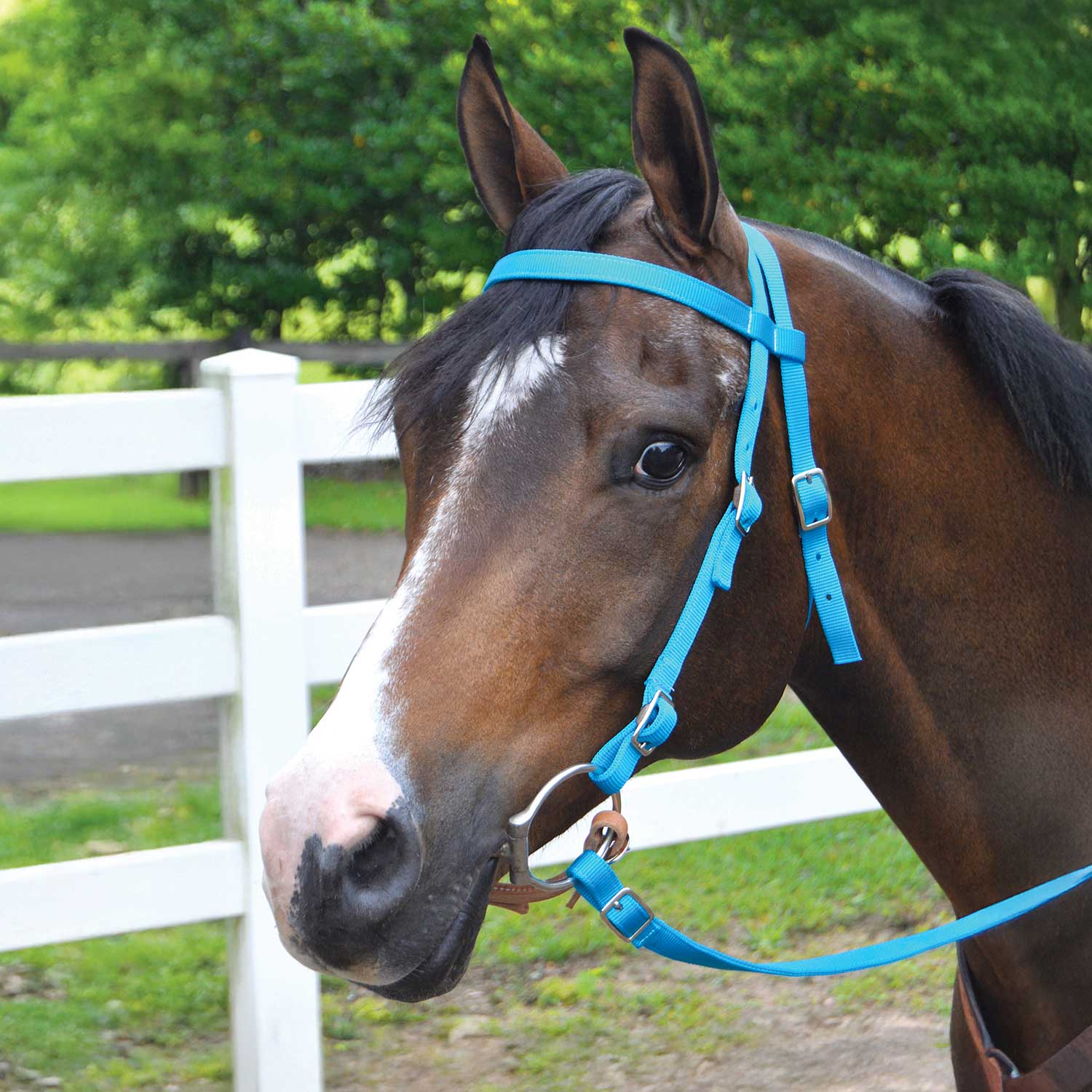 Jeffers Western Nylon Horse Bridle with 6' Split Reins Set - Image 10