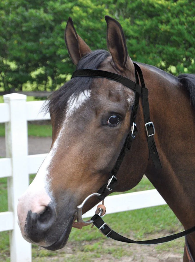 Jeffers Western Nylon Horse Bridle with 6' Split Reins Set - Image 2