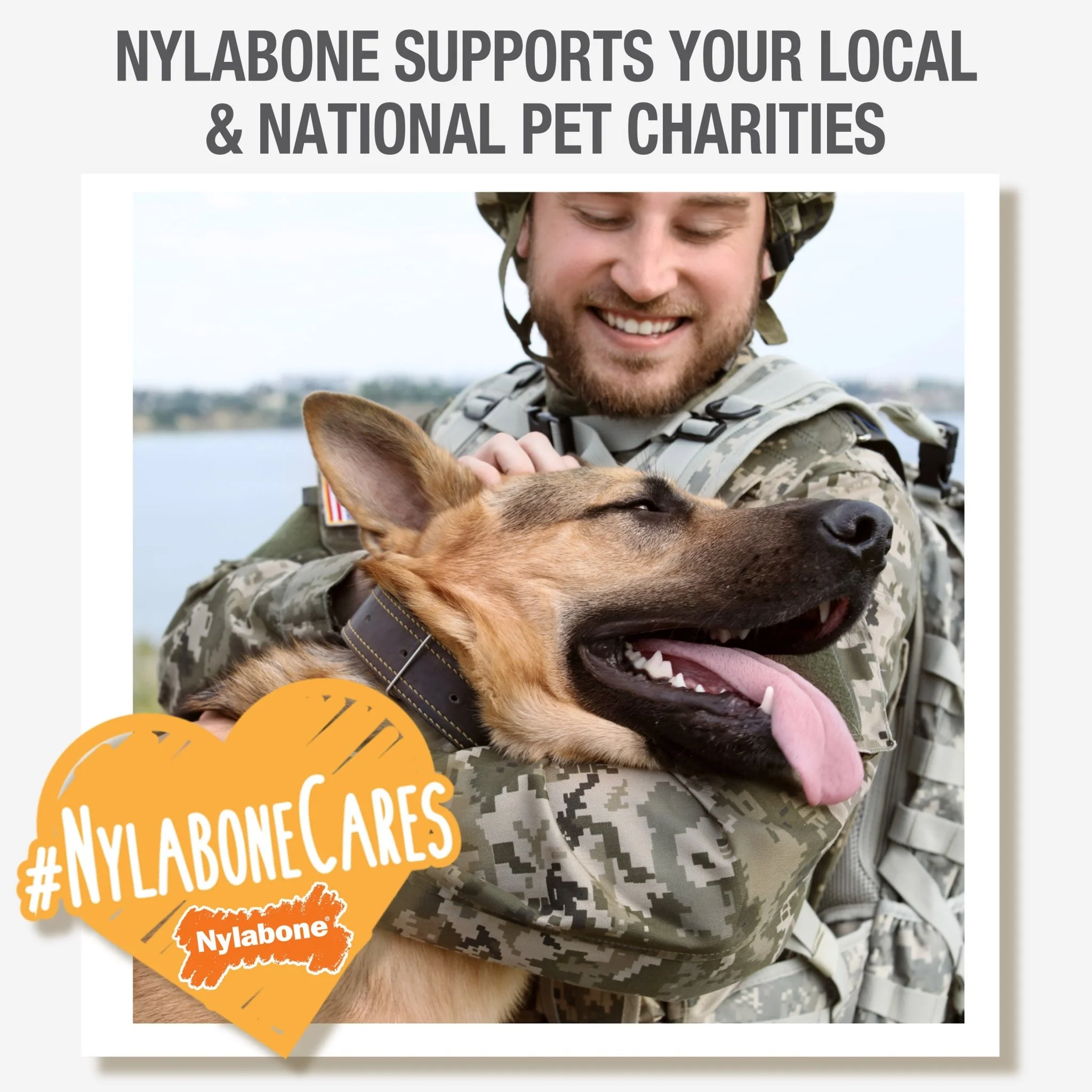 Nylabone Wishbone Dura Chew for Dogs - Image 16