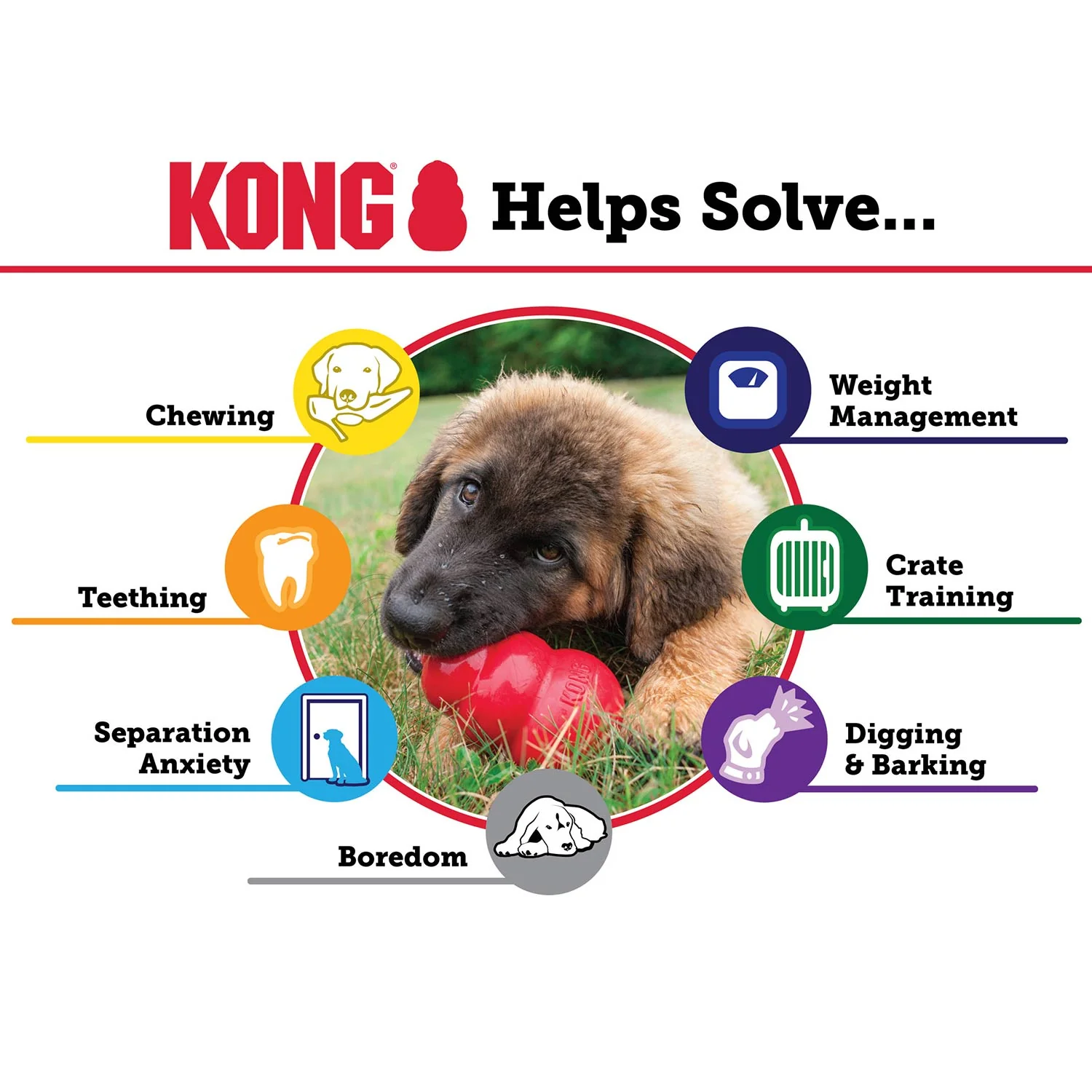 KONG Classic Dog Toy - Image 13